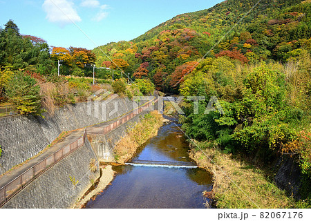 近郊都市の秋 82067176