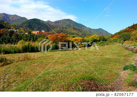 近郊都市の秋 82067177