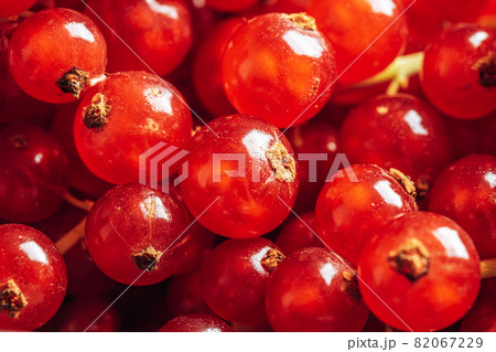 Close-up of red currant berries. Abstract food background. Close-up of red currant berries. Abstract food background. 82067229