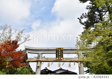 夏の清水寺 地主神社 夏の清水寺 地主神社 82068391