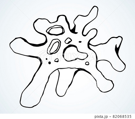 Draw the labelled diagram : amoeba