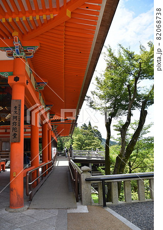 夏の清水寺　阿弥陀堂 82068738