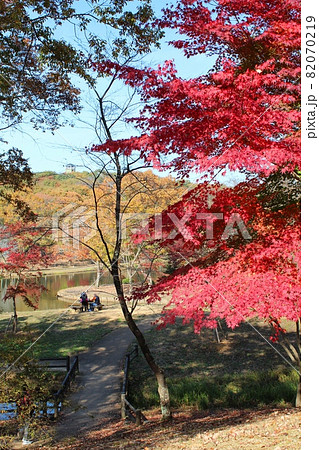 紅葉に彩られる北山公園　笠間市 82070219