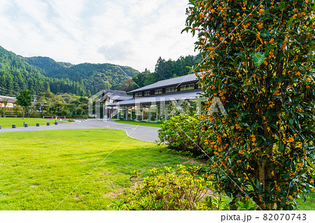 キンモクセイと高尾山登山口の高尾ミュージアム 82070743