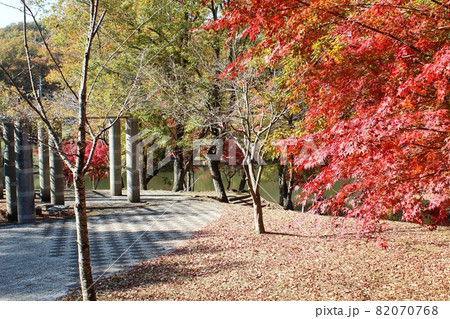 紅葉の向こうに石柱 笠間市北山公園 紅葉の向こうに石柱 笠間市北山公園 82070768