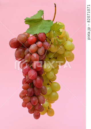 Red And White Grapes Bunches Isolated 82071071