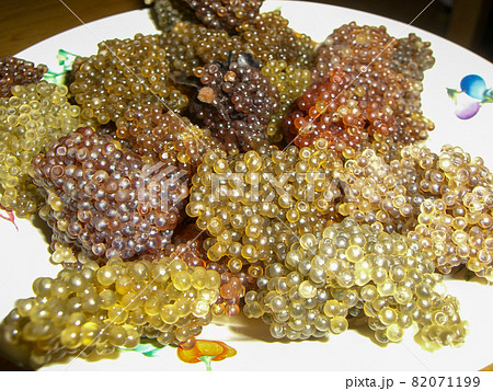 ハタハタの卵ブリコ 82071199