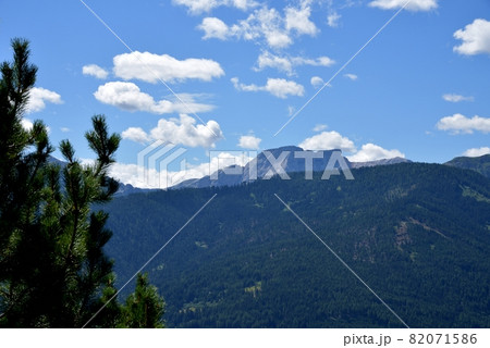 Ruler of the lake 82071586