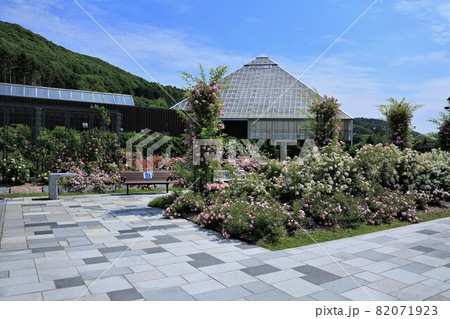 岩見沢公園バラ園(北海道岩見沢市) 岩見沢公園バラ園(北海道岩見沢市) 82071923