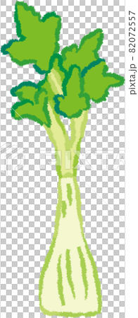 celery celery 82072557