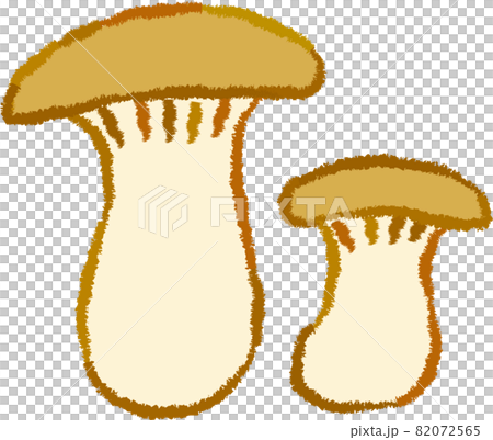 杏鮑菇 杏鮑菇 82072565