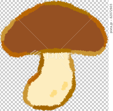Shiitake mushroom 82072603