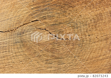 Trunk Trunk 82073243