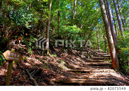 熊野古道の難所、山深い小雲取越を熊野本宮大社方向へ向かう・百間ぐら手前の山道・和歌山県田辺市(2) 熊野古道の難所、山深い小雲取越を熊野本宮大社方向へ向かう・百間ぐら手前の山道・和歌山県田辺市(2) 82073549