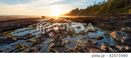 Botanical Beach on the West Coast of Pacific Ocean. Botanical Beach on the West Coast of Pacific Ocean. 82073980