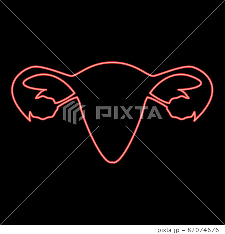 Neon uterus red color vector illustration flat  82074676
