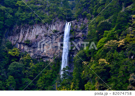 熊野那智大社の参道より見上げる那智の滝・和歌山県那智勝浦町(4) 82074758