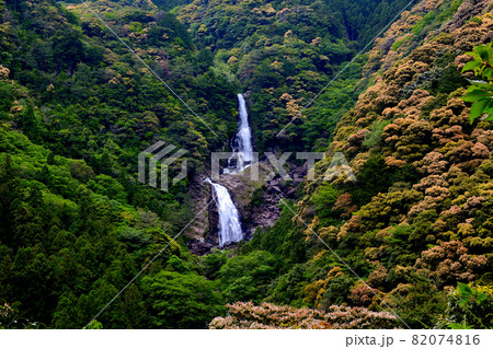 鼻白の滝・鼻の白いウサギが棲んでいてその名が付いた、熊野の隠れた名所・和歌山県熊野川町田長(6) 82074816