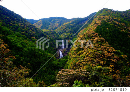 鼻白の滝・鼻の白いウサギが棲んでいてその名が付いた、熊野の隠れた名所・和歌山県熊野川町田長(9) 82074819