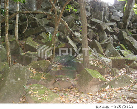 カンボジア、日中のベンメリア。（北側） 82075215