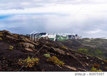 Banana plantation with greenhouses in a volcanic landscape in La Palma Banana plantation with greenhouses in a volcanic landscape in La Palma 82075307