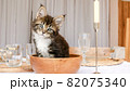 Striped Grey Kitten lies in a wooden plate on the kitchen table. Cute Little Grey Cat observes. Cute funny home pets. Domestic animal. 82075340