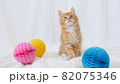 Kitten cuddling with a small ball. Cute Ginger Kitten playing with ball. Cute funny home pets 82075346