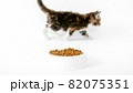 Grey striped kitten eating fresh dry cat food for small kittens. Maine Coon Cat eating food from bowl. Advertising kitty food on white isolated background. 82075351