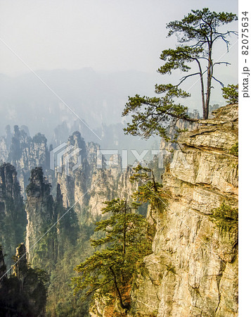 中国張家界 武陵源 天子山風景区 / Wulingyuan, Zhangjiajie, China 82075634
