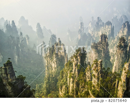 中国張家界 武陵源 天子山風景区 / Wulingyuan, Zhangjiajie, China 82075640