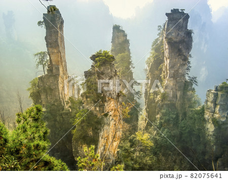 中国張家界 武陵源 天子山風景区 / Wulingyuan, Zhangjiajie, China 82075641