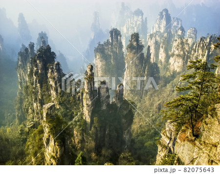 中国張家界 武陵源 天子山風景区 / Wulingyuan, Zhangjiajie, China 82075643