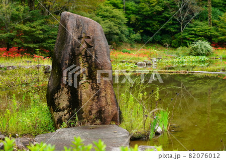 雨上がりの大智寺の得月池と彼岸花 82076012