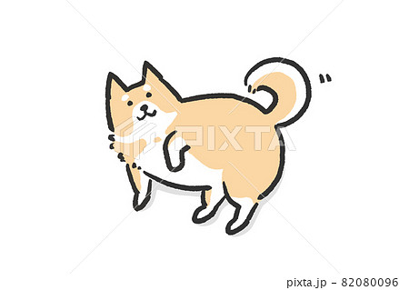 太った柴犬 82080096