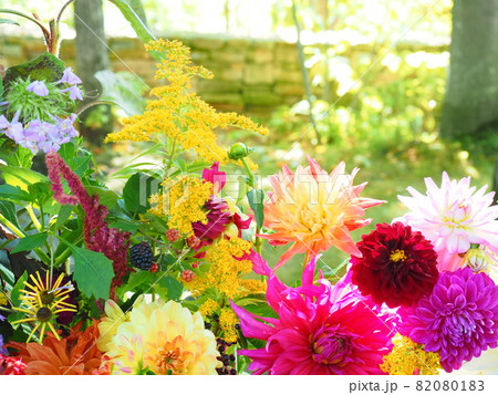 イングリッシュガーデン ダリア寄せ植えの写真素材 0801