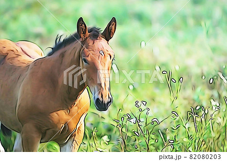 パステル調　”1頭の馬”　イラストイメージ 82080203