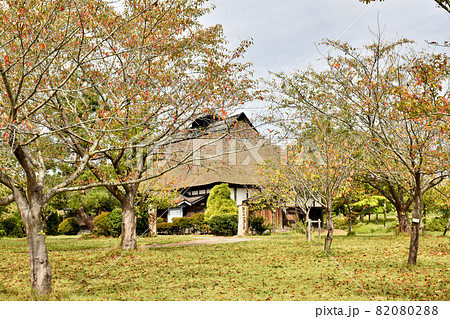 青森県鶴田市の鶴の里ふるさと館 青森県鶴田市の鶴の里ふるさと館 82080288