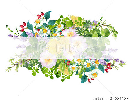 水彩のハーブのフレームのイラスト素材 0811