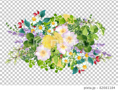 Gorgeous bouquet of various herbs watercolor illustration 82081184