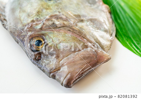 魚の顔　マトウダイ 82081392