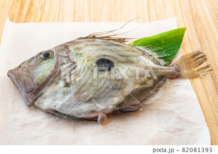 マトウダイ 82081393