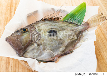 マトウダイ 82081394