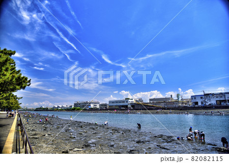 【神奈川】横浜市　潮干狩り風景 82082115