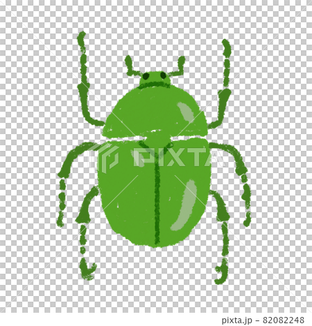 Scarab beetle illustration material 82082248