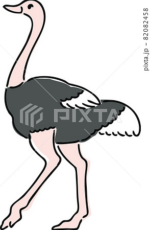 手描き風のダチョウのイラストのイラスト素材 0458