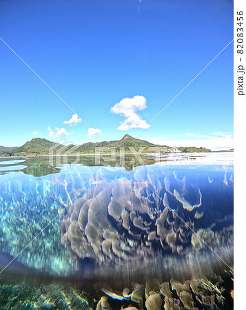 石垣島の海 82083456