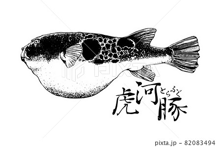河豚のイラスト 82083494