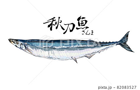 秋刀魚のイラストのイラスト素材 0527