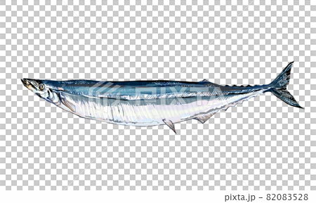 Illustration of autumn sword fish Illustration of autumn sword fish 82083528