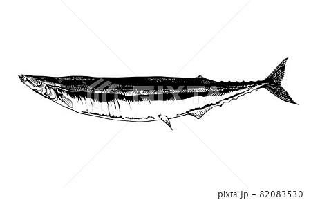 秋刀魚のイラスト 82083530